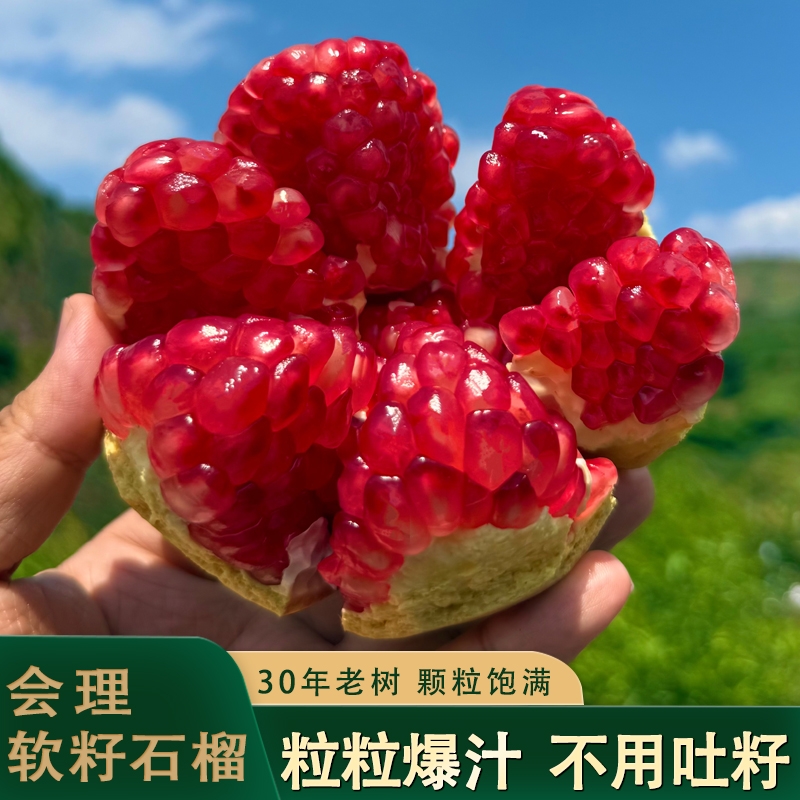 【产地直发】四川会理突尼斯软籽石榴坏果包赔爆甜多汁当季现摘现发