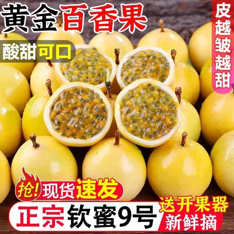 【送开果器】广西钦蜜九号黄金百香果新鲜水果香甜多汁现摘现发Z1