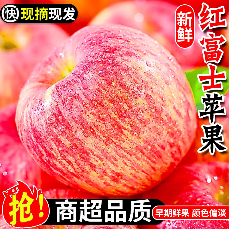陕西红富士苹果当季现摘产地直发坏果包赔