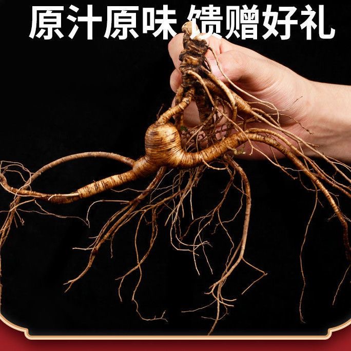【本帅专属】改价链接新鲜人参果肉洁白带土人参果肉紧实送种子