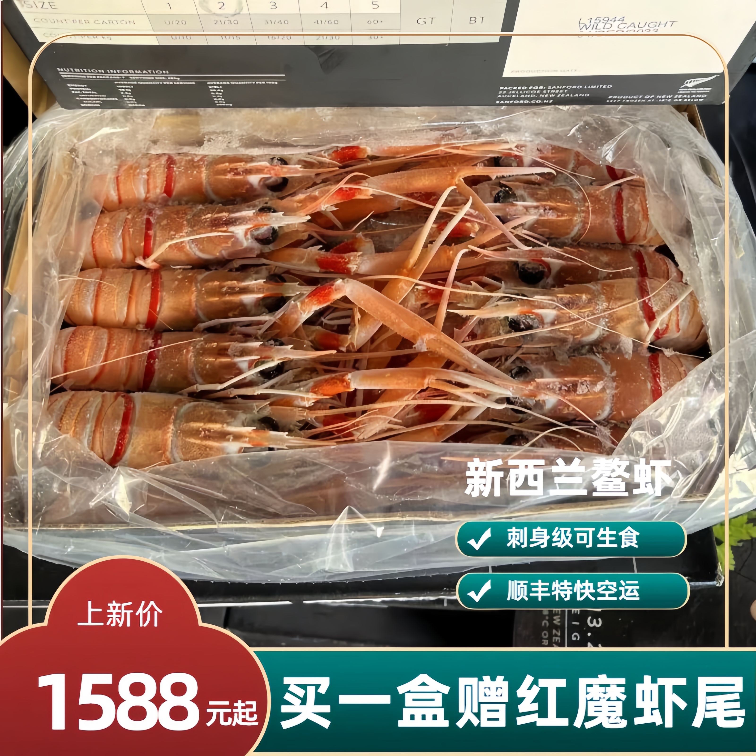 新西兰鳌虾进口刺身 scampi斯干比小龙虾特大海鳌虾1号2号3号2kg