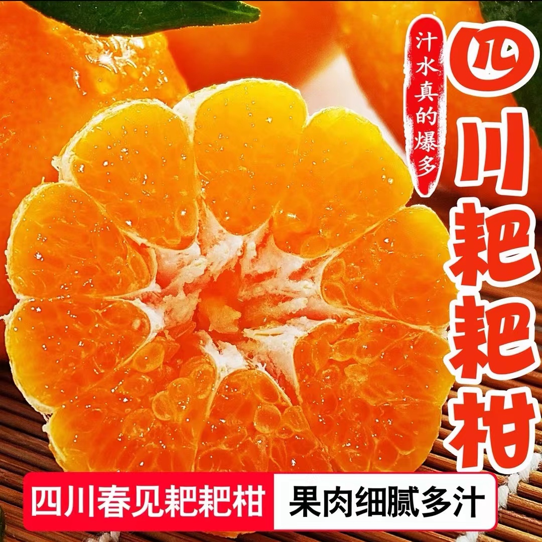 【太原玲姐】来小兔春见耙耙柑当季新鲜水果四川耙耙柑