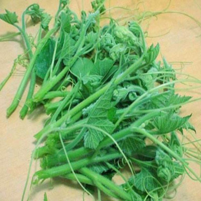 粗茎南瓜种子专吃南瓜茎的种子嫩脆嫩粗条南瓜苗种子蔬菜藤蔓瓜种