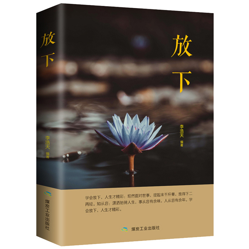 正版放下人生没有什么不可以放下静心修心断舍离心理学疏导书籍
