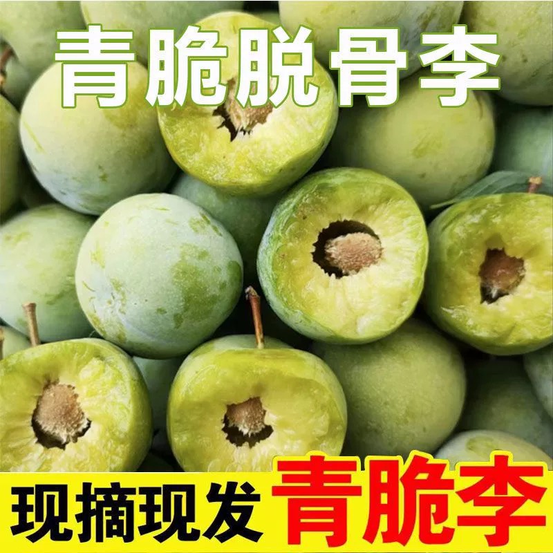 【笨狐优选】贵州应季水果甘甜脆爽四月清脆李山地果园现摘爽口
