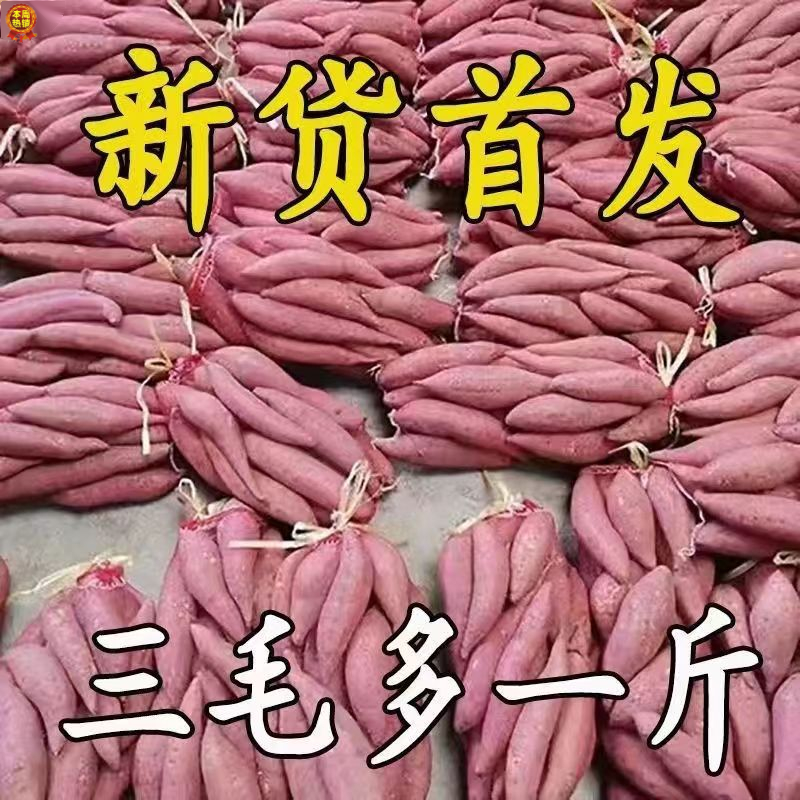 【抢购中】新鲜沙地红薯红心黄心蜜薯地瓜1-9斤番薯蔬菜水果板栗薯