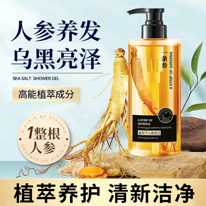 一条参灵芝润黑露X1