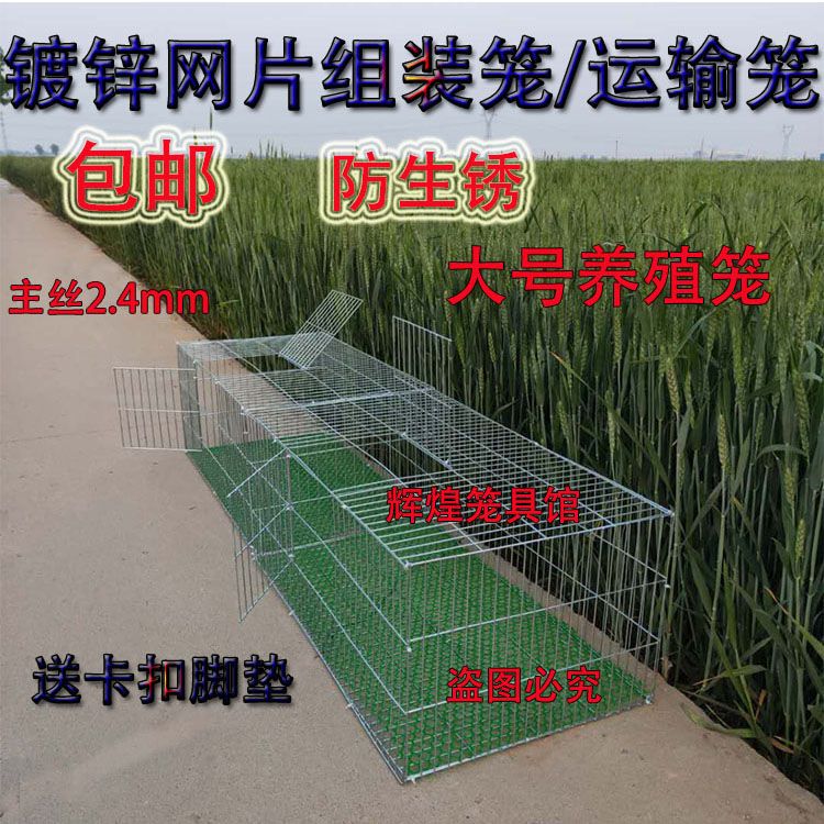 加密加粗镀锌铁丝笼鸡笼鸽子笼兔笼鸟笼运输笼养殖笼小鸡笼鹌鹑笼