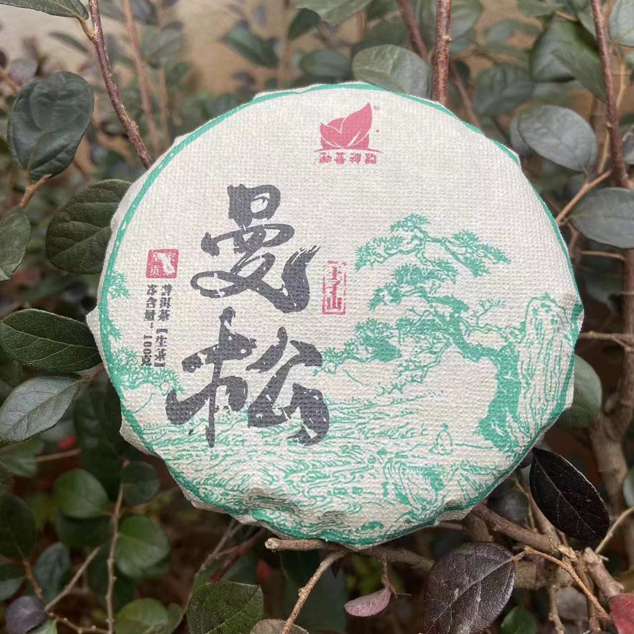 雨腾古茶  MPSY曼松王子山古树纯料普洱茶100g/饼  生茶