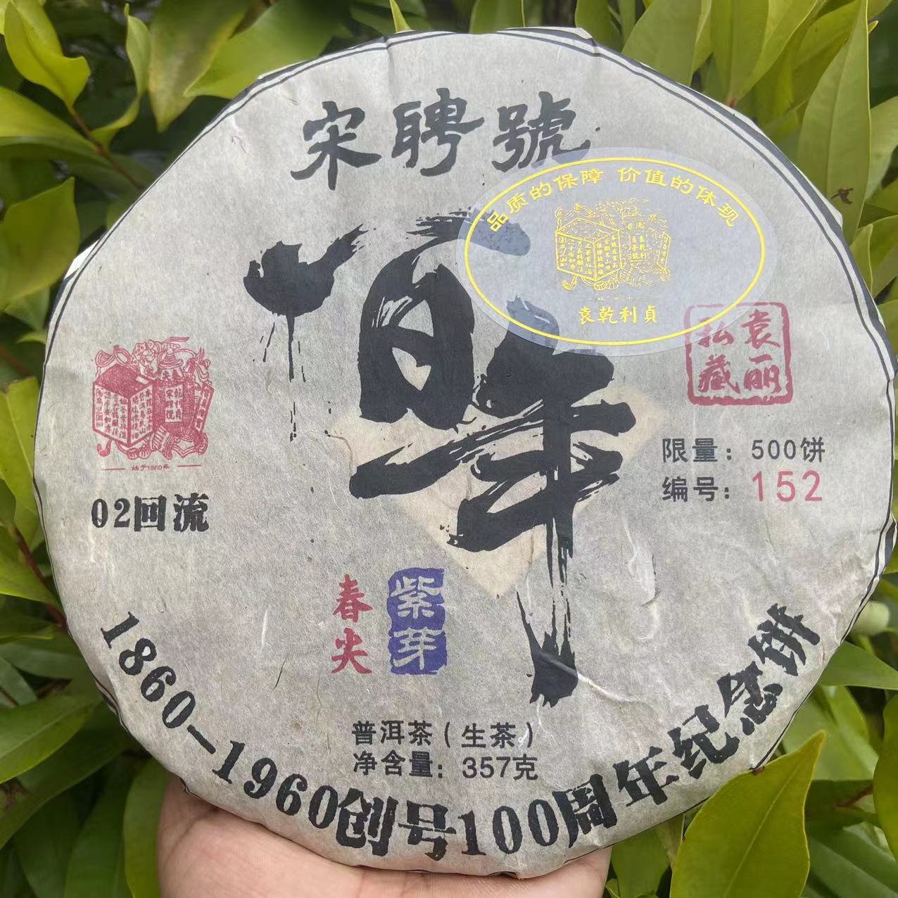 雨腾古茶 YQLZ宋聘號一百年02回流春尖紫芽古树普洱茶357g/饼生茶