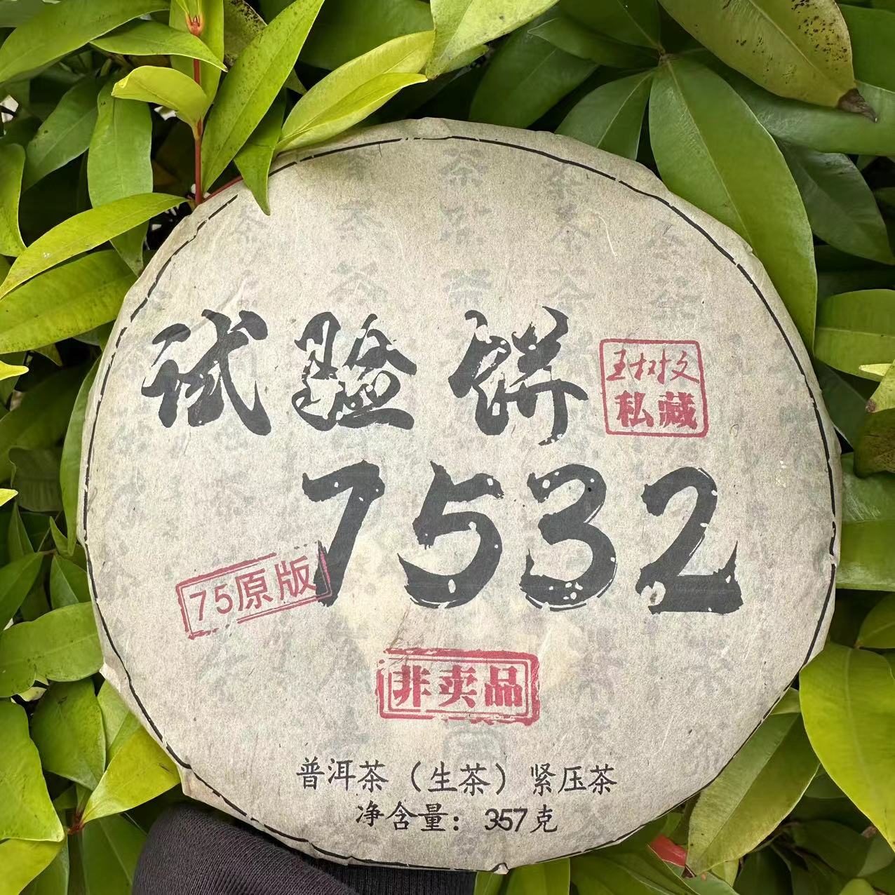雨腾古茶  WSW私藏7532试验饼75原版古树普洱茶357g/饼 生茶