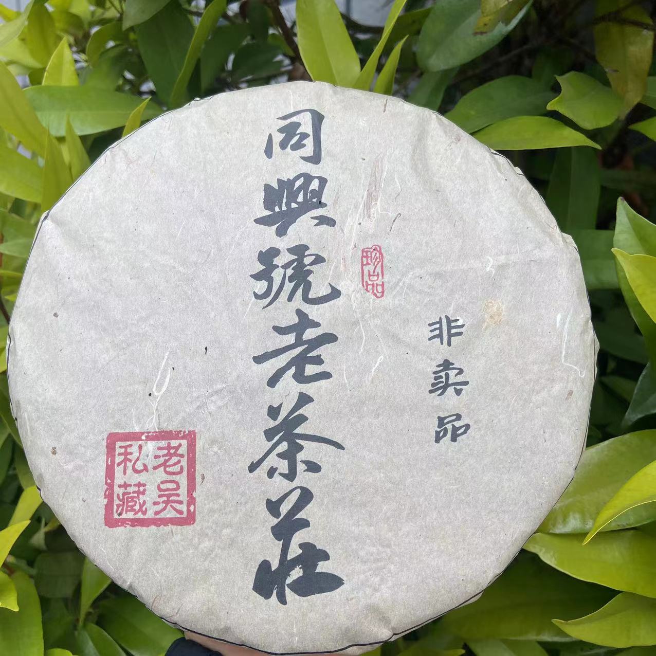 雨腾古茶 老吴私藏同興號老茶莊古树普洱茶357g/饼 生茶