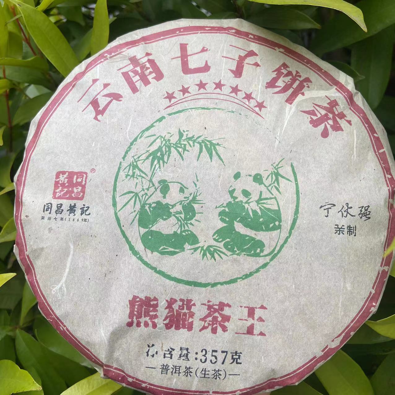雨腾古茶  同昌黄记七星熊猫茶王古树普洱茶357g/饼 生普