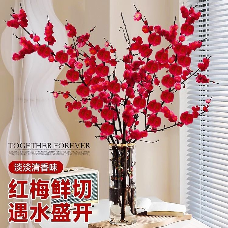 【新客领试种】水培植物鲜切红梅花带花苞易活耐寒水培花卉绿植室内