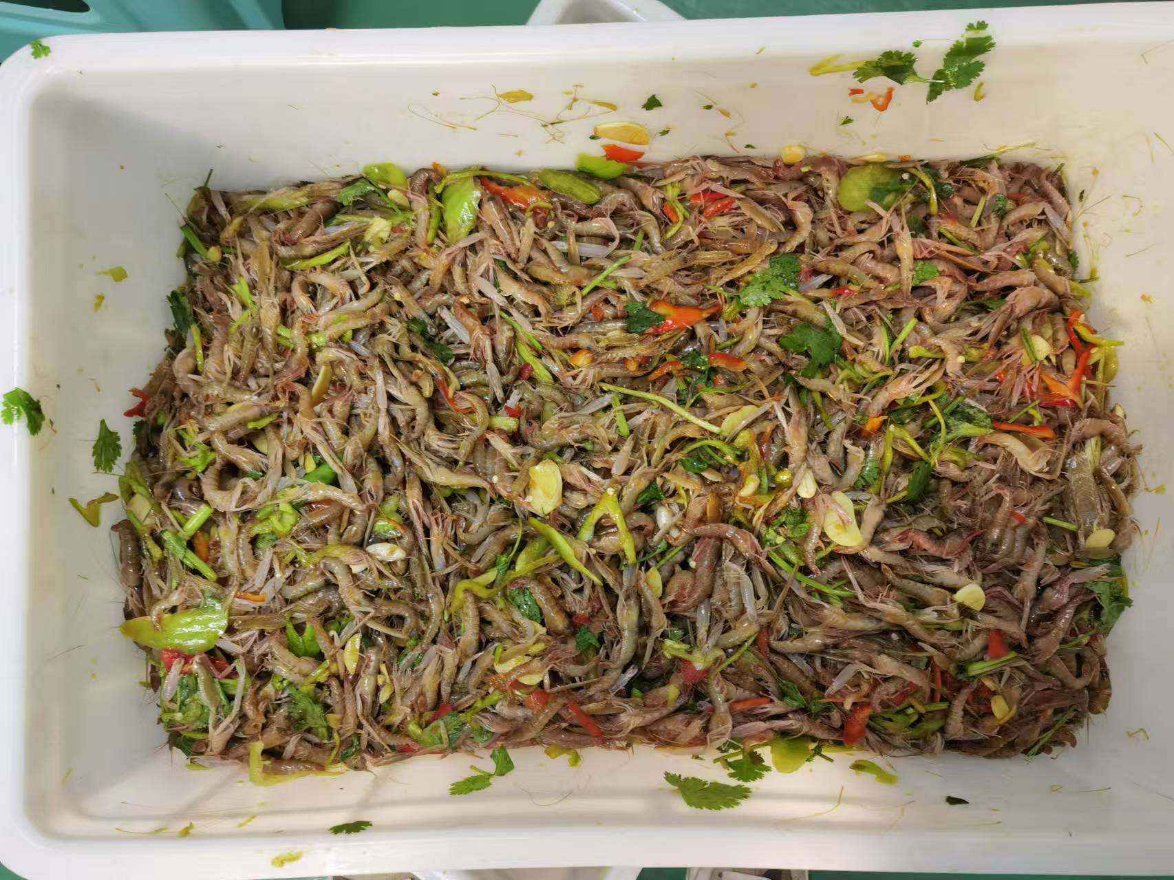 【强烈推荐】大连生腌嘎巴虾 夹板虾 500g/桶*2桶  个头不大 嫌小勿拍