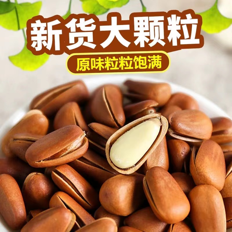 开口松子俄罗斯进口国内加工至熟红松子/袋500g