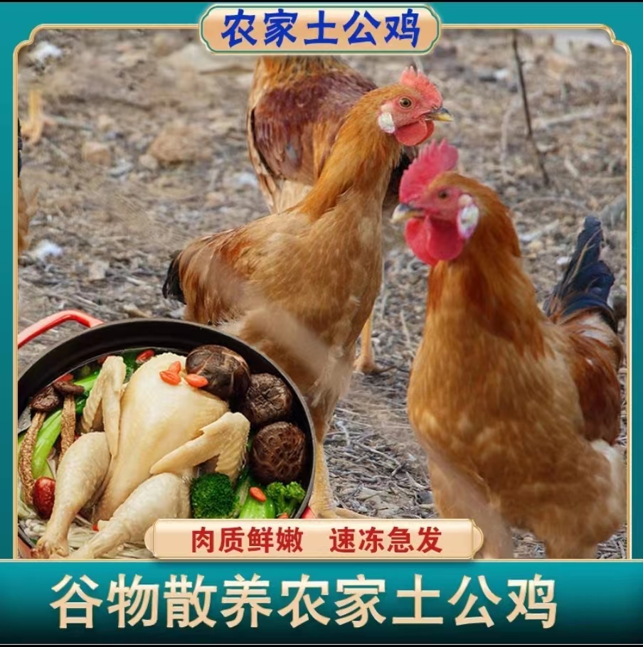 【拍1发3】农家散养土鸡溜达鸡 鲜杀新鲜鸡肉 冷链发货