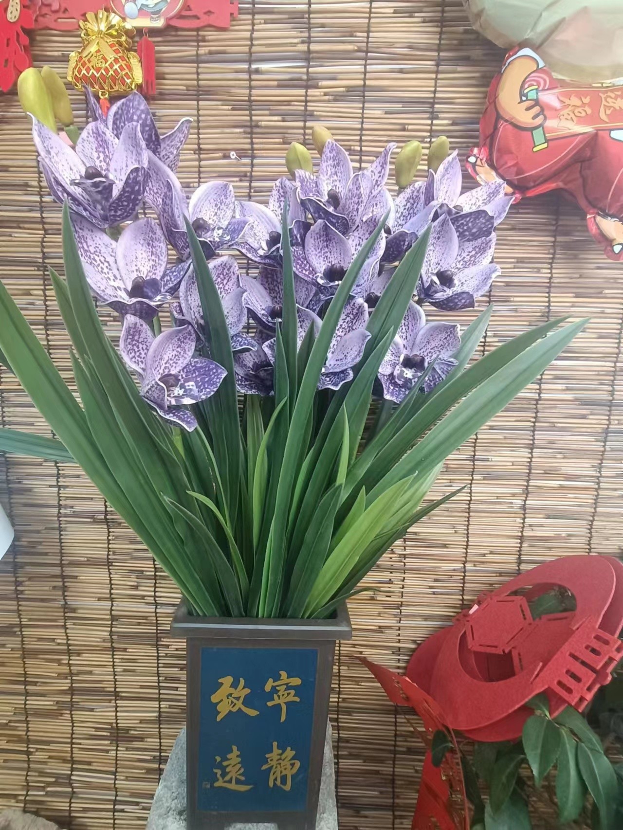 兰花 紫气东来 带花剑+带盆+底座