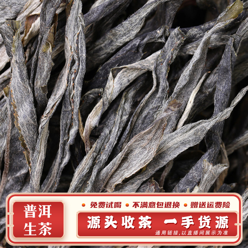 26号 1斤 2023年 保山昌宁黄家寨古树生散茶 带茶样 SJ2062