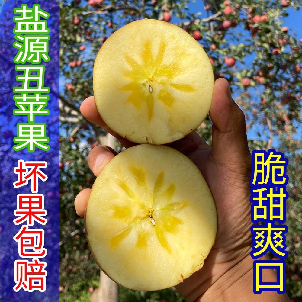 大凉山盐源丑苹果冰糖心高原红富士营养多汁肉厚口感甜蜜2/5/8斤