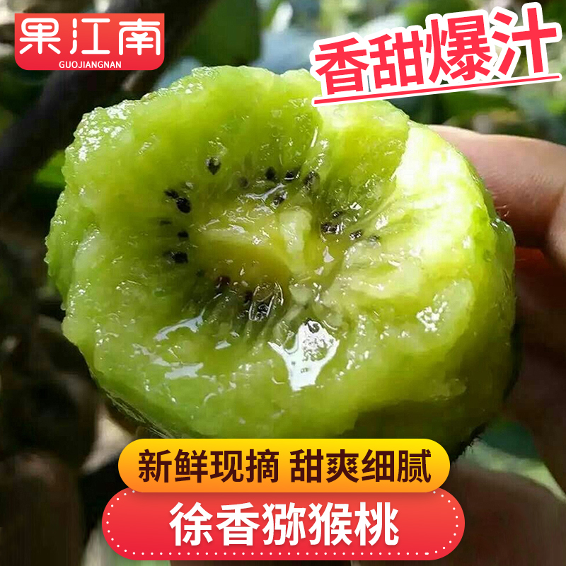 【果江南】爆甜陕西徐香猕猴桃4.6斤单果70-90g奇异果新鲜水果