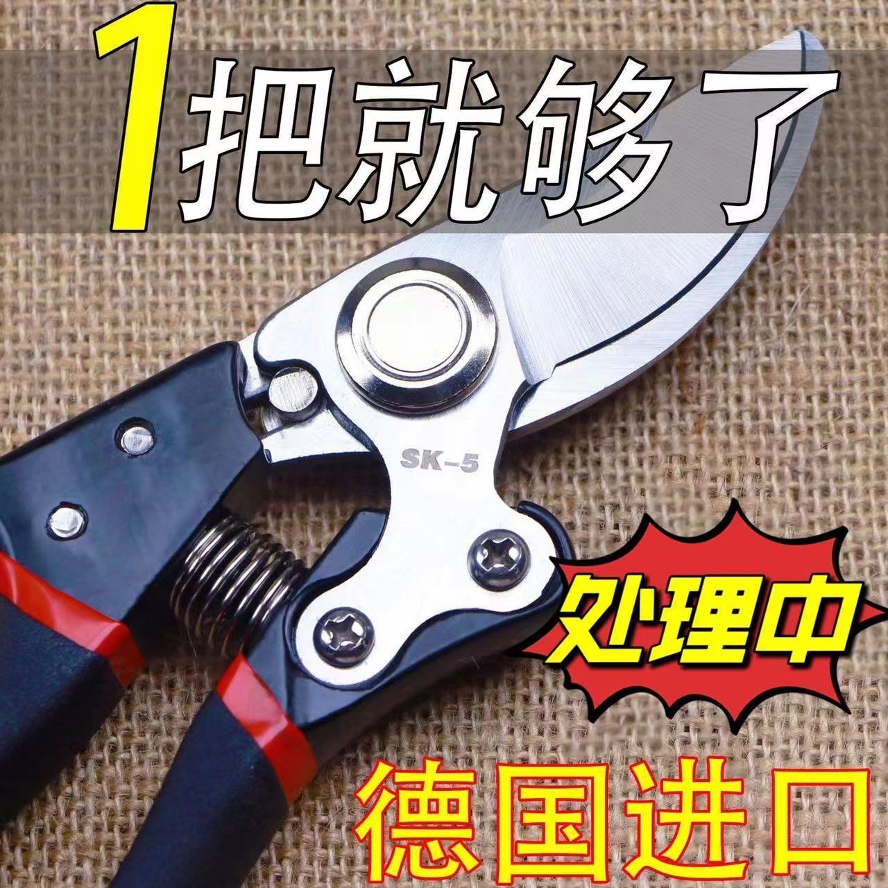 修枝剪树剪橘子果树剪强力果树家用葡萄修剪专用花木SK5大全进口