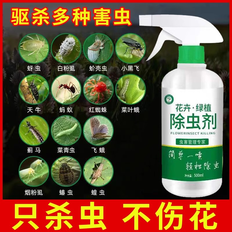 蔬菜花卉绿植通用杀虫药多肉月季兰花介壳虫蚜虫红蜘蛛全杀除四季