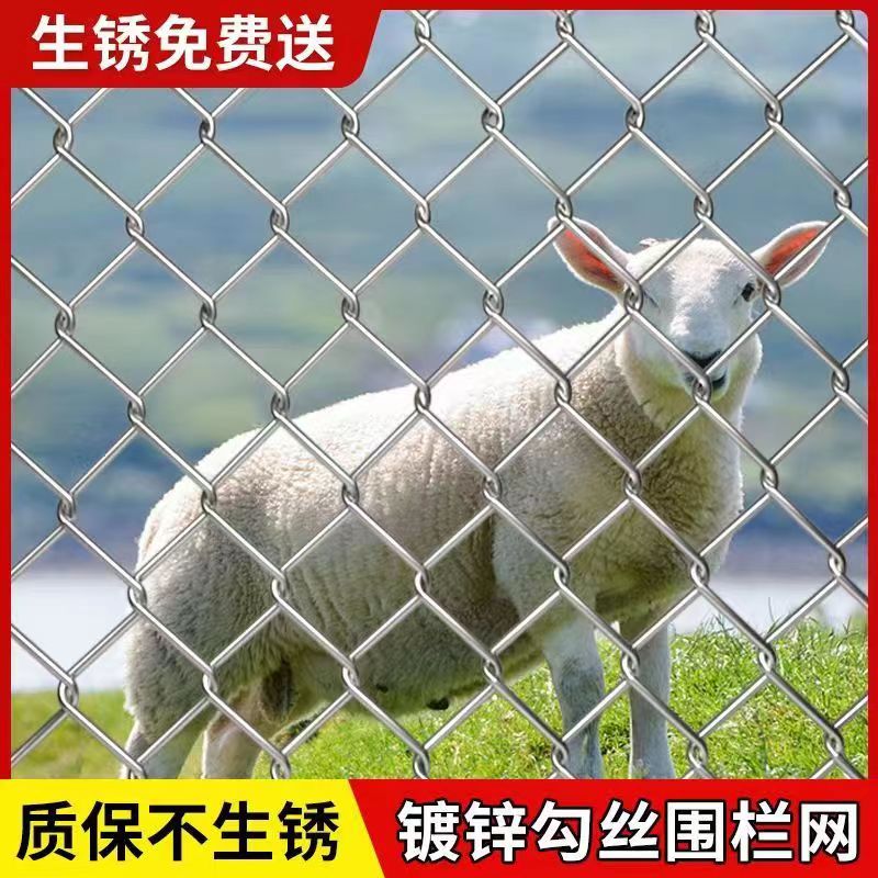 热镀锌低碳钢丝网勾花网围栏网防护网养鸡鸭牛羊防锈养殖网隔离网