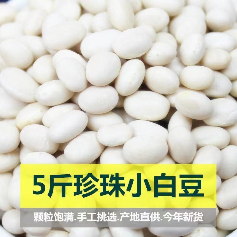 云南珍珠豆  新货 农家自种小白芸豆 小白豆 煲汤打豆浆 批发特价
