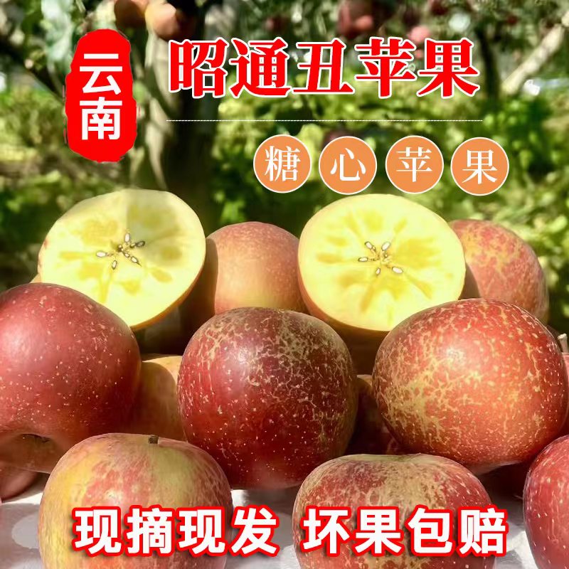 【现摘现发】当季云南昭通农家原生态冰糖心丑苹果脆甜水果五斤斤包