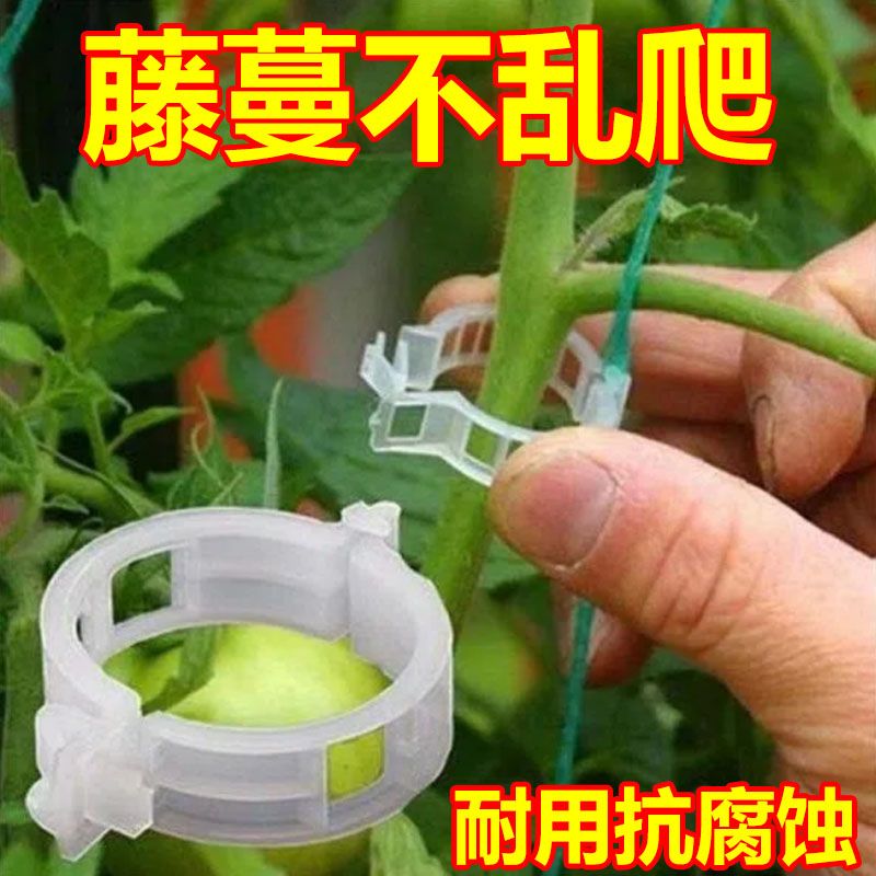 【9.9元50个】果树绿植蔬菜固定卡扣捆绑藤蔓夹环扣植物夹扶蔓夹D