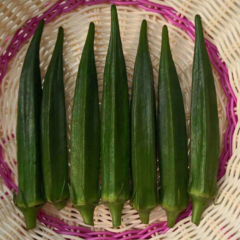 四季播特色蔬菜种子黄秋葵种子秋葵蔬营养蔬菜易种新品种饱满