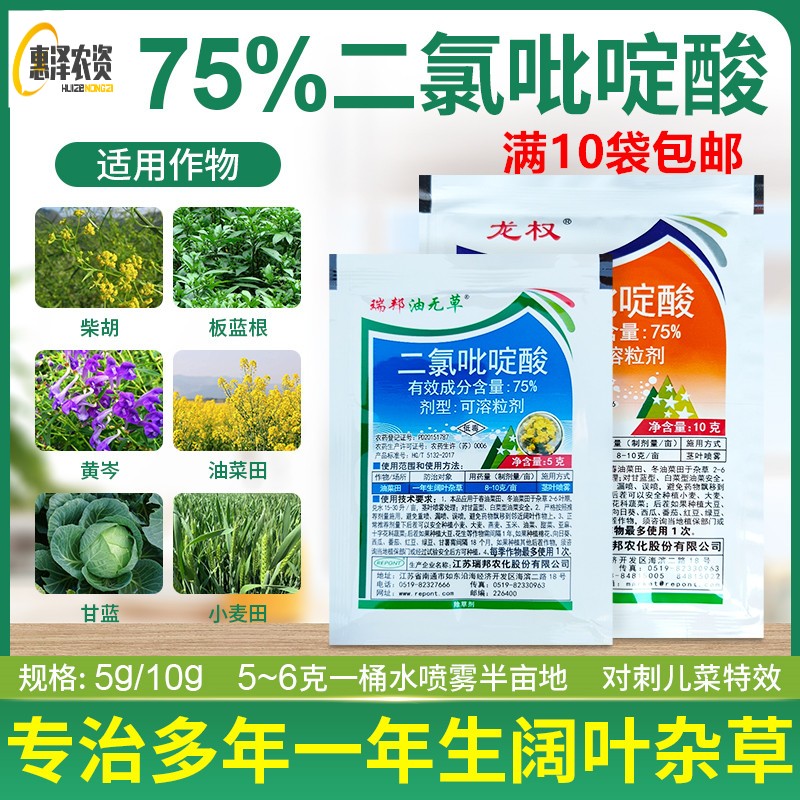 75%二氯吡啶酸 草坪油菜田苗圃苣荬菜稻槎菜刺儿菜阔叶杂草除草剂
