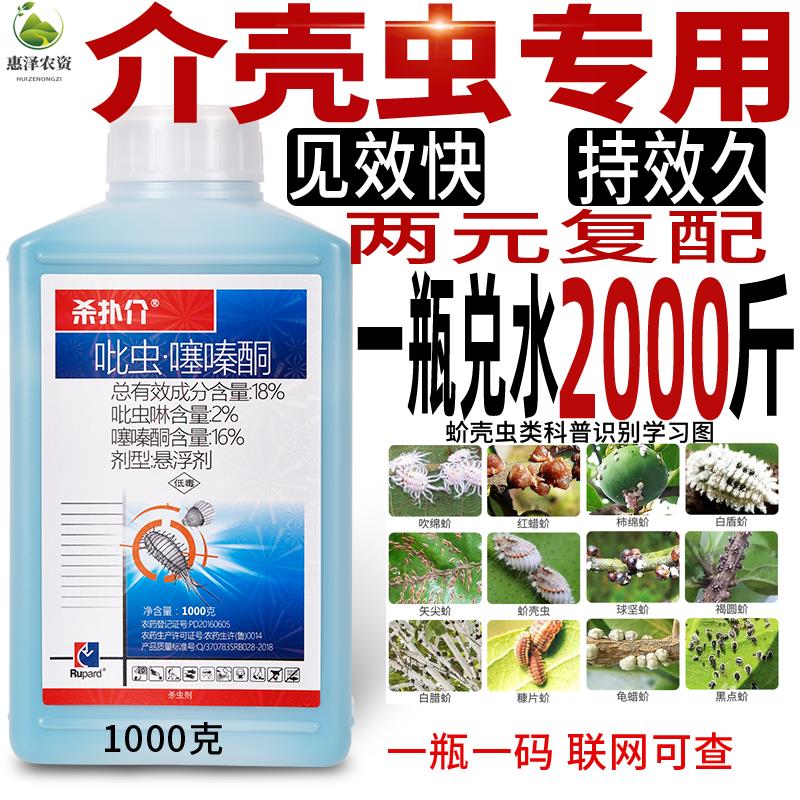 农药店蚧壳虫专用药吡虫啉噻嗪酮花卉果树农用药介壳虫杀虫剂正品