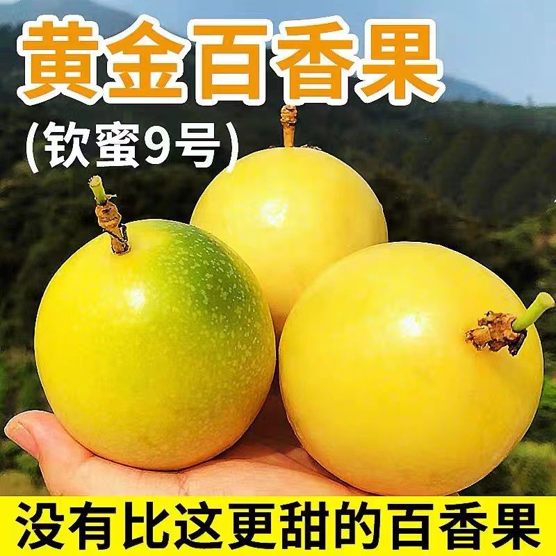 广西钦蜜9号黄金百香果产地直发新鲜应季水果皮薄多汁香甜天然