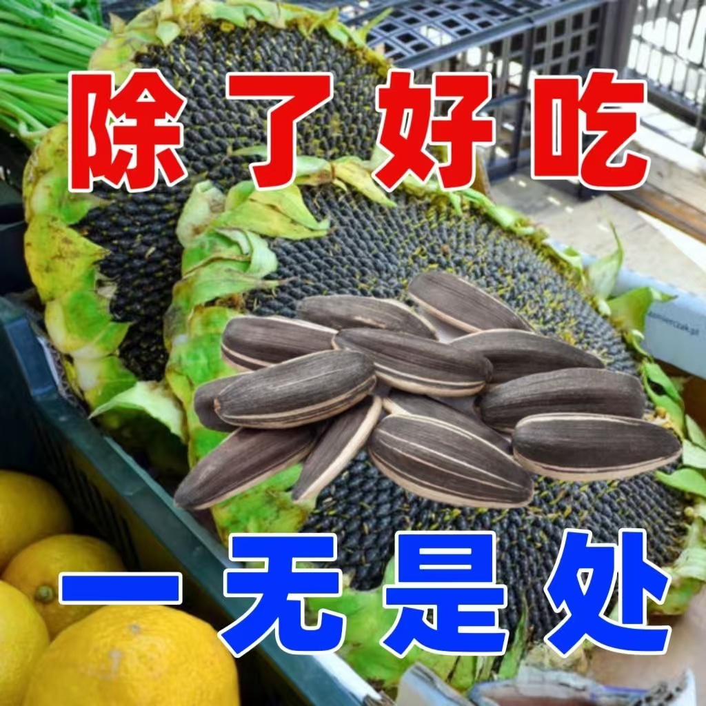 【原味炒熟 无增重剂】农户铁锅炒葵花