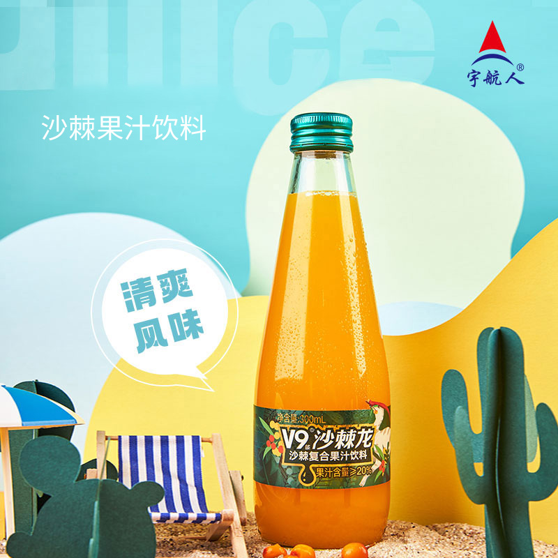 宇航人沙棘果汁内蒙古小果沙棘汁酸甜VC果汁300ml×6瓶/箱包邮