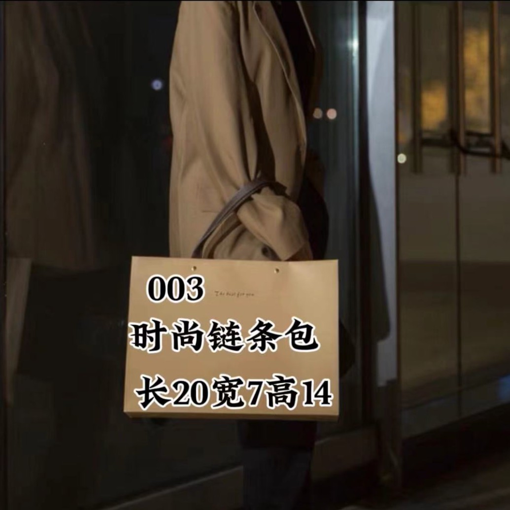 WTF 003欧式链条包单肩斜挎手拎5163-6