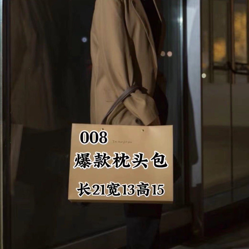 Z 008号包 经典枕头包休闲百搭气质款6507-1