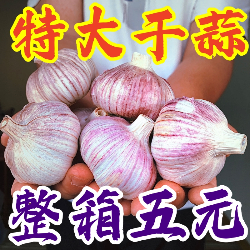 【全靠抢】河南新干蒜紫皮大蒜新鲜红皮大蒜头3/5/9斤批发包邮五
