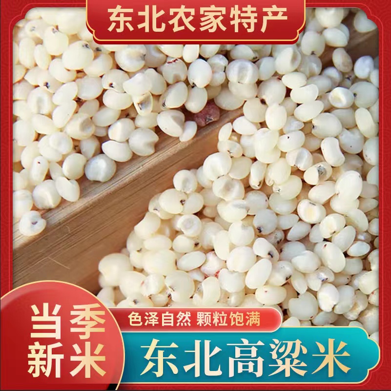 东北黑土地新粮食 白高粱米4斤