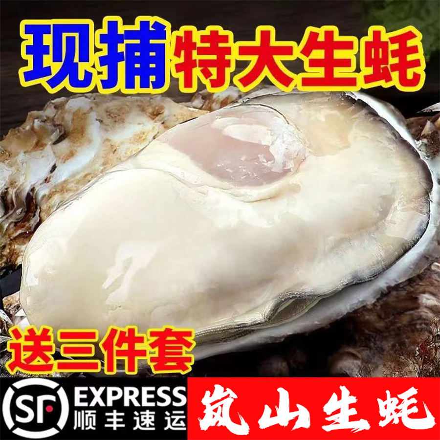 【岚山生蚝】生蚝王新鲜现捕非乳山生蚝鲜活大牡蛎海蛎子蚝肉5.5斤