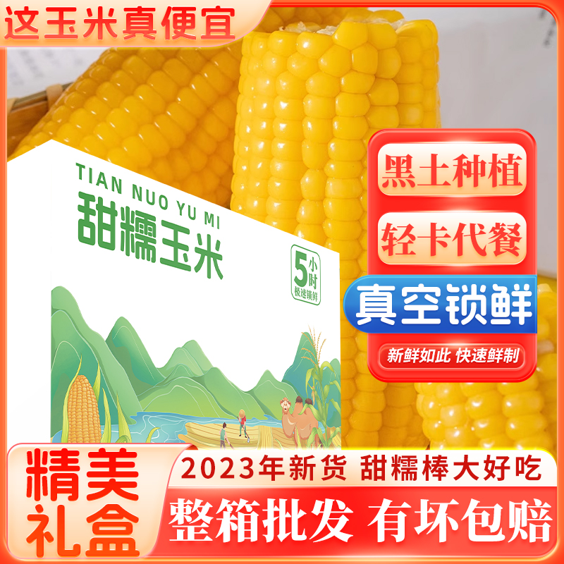 2023年新货东北黄糯玉米10根真空装优选当季粘苞米新鲜采摘