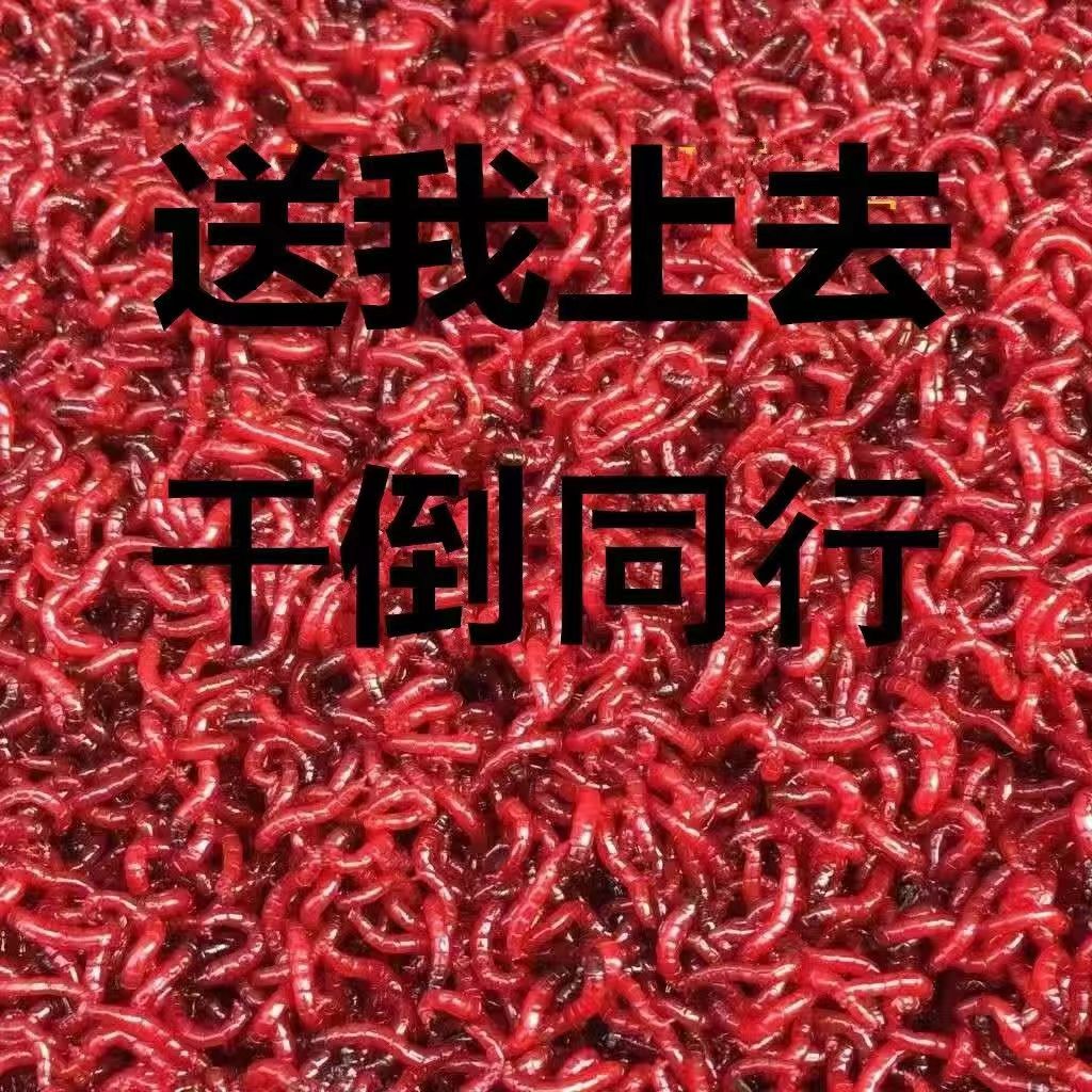 特大号红虫鲜活公虫活体活饵喂鱼饵拉饵鲫鱼野钓饵料钓鱼蚯蚓鱼饵