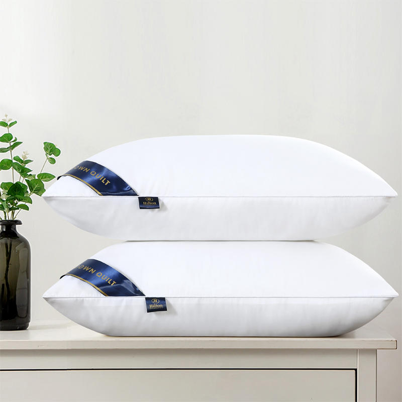 枕头一对护颈椎家用枕芯助睡眠单人专用酒店单个装夏季宿舍双人男