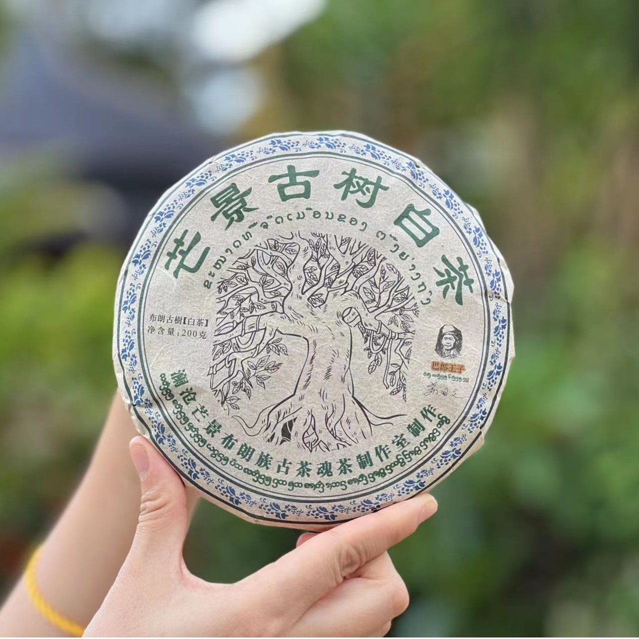 【苏国文】芒景古树白茶 2022年头春 200克/饼