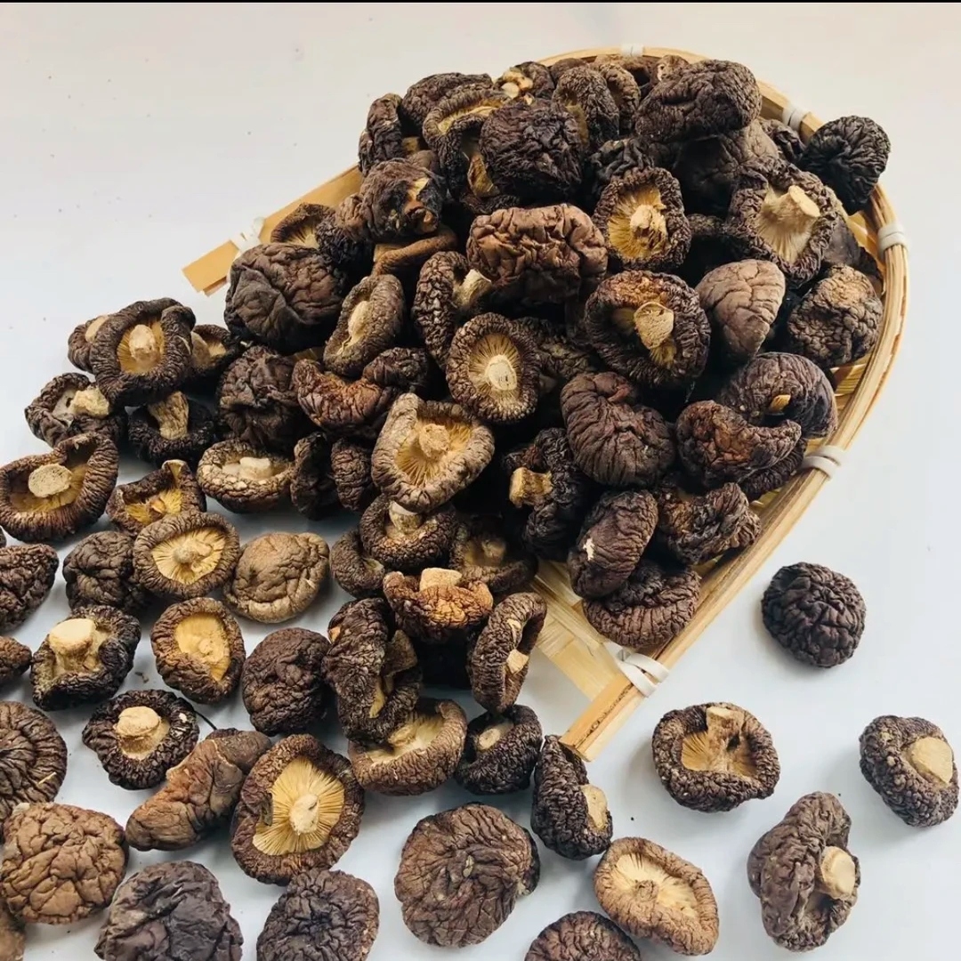 新货精选云南特产―干货小香菇精品炖肉