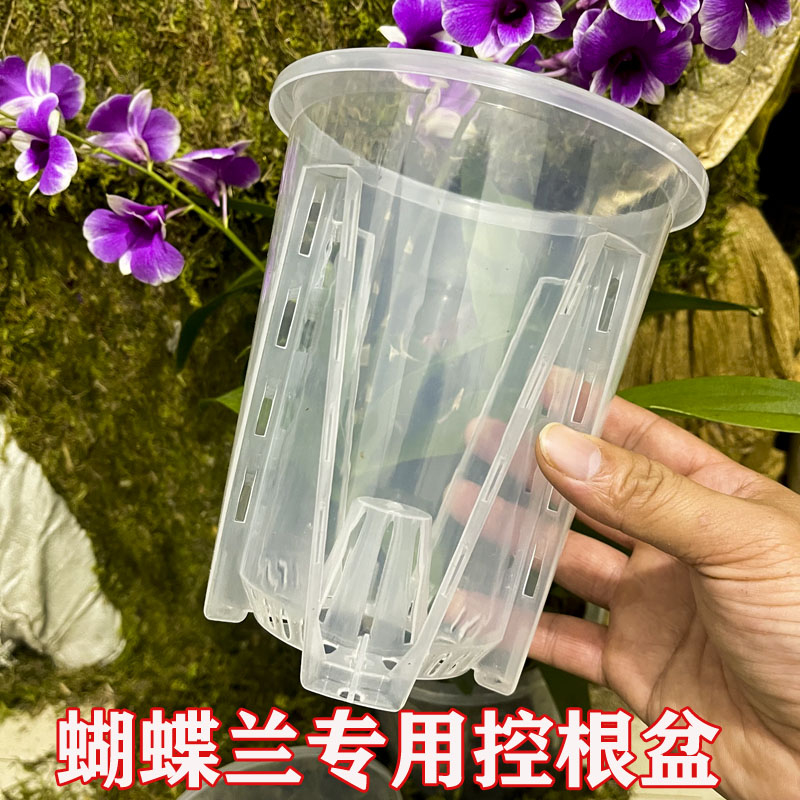 新款水苔蝴蝶兰专用花盆透气防烂根控根盆透明青山盆兰花花盆家用
