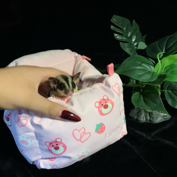 小蜜纯手工方款棉窝随机发图案都好看保暖质感亲和可吊起来蜜袋鼯