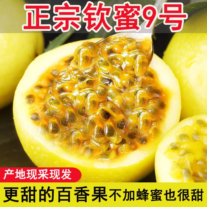 正宗寻乌钦蜜9号黄金百香果新鲜水果新鲜水果当季整箱百香果包邮